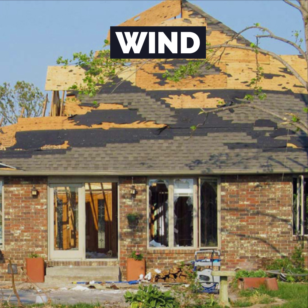 wind damage